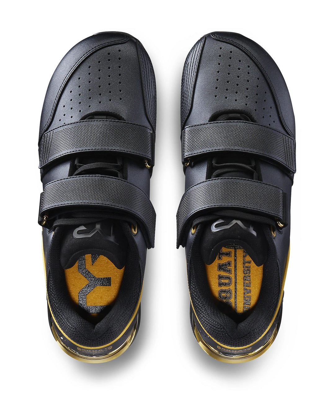 TYR TYRFORCE Elite Carbon Lifter Black/Gold – Inner Strength Products TYR TYRFORCE Elite Carbon Lifter Black/Gold – Inner Strength Products